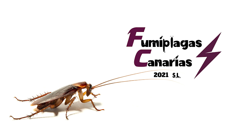 Negocio Fumiplagas Canarias 2021 S L
