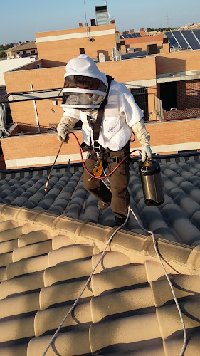 Negocio Fumivector S.l.