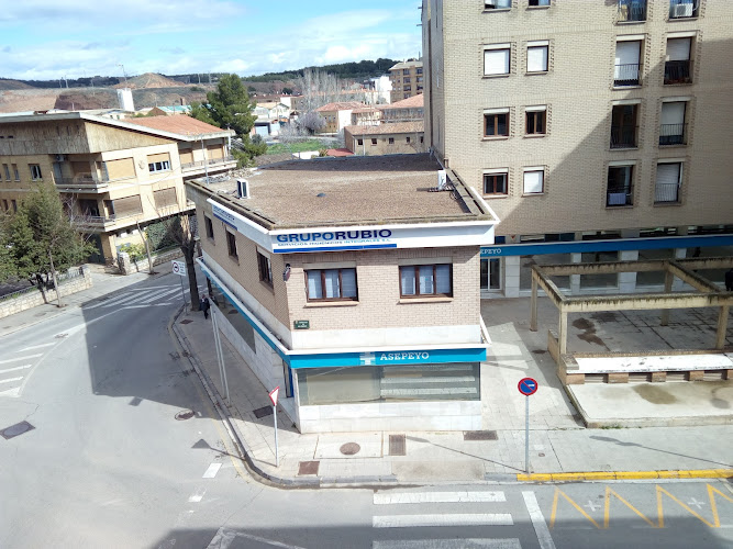 Negocio Grupo Rubio Servicios Higiénicos Integrales