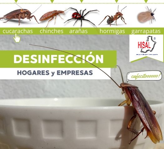 Negocio Hisal. Control De Plagas Almería. Empresa De Fumigación.