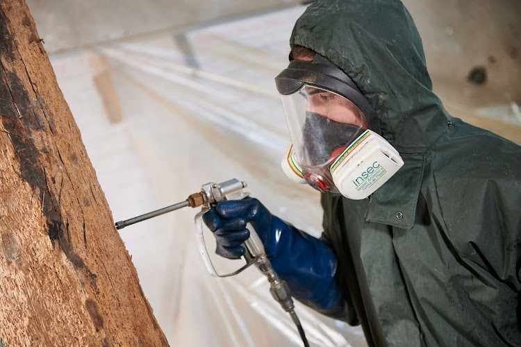 Negocio Insec Control De Plagas Y Sanidad Ambiental