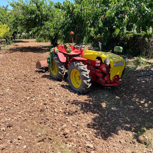 Negocio Jardinería La Espina