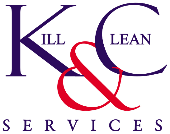 Negocio Kycservicios