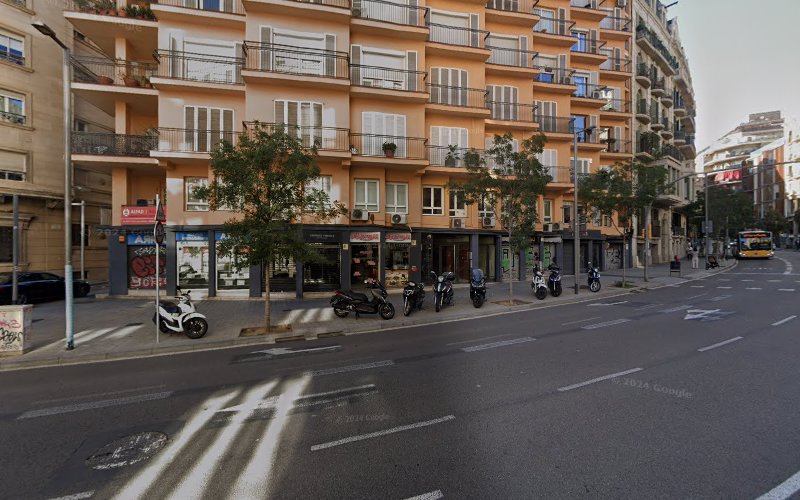 Negocio Lb Desinfeccions Bàrcino