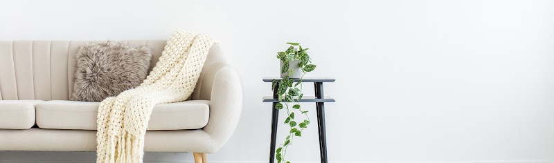 Negocio Leu Servicios | Limpiezas Especiales Urgentes Y Control De Plagas