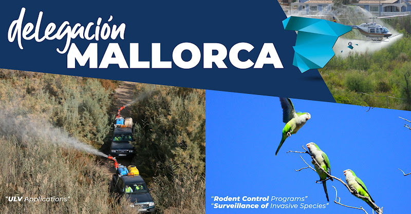 Negocio Lokímica Baleares