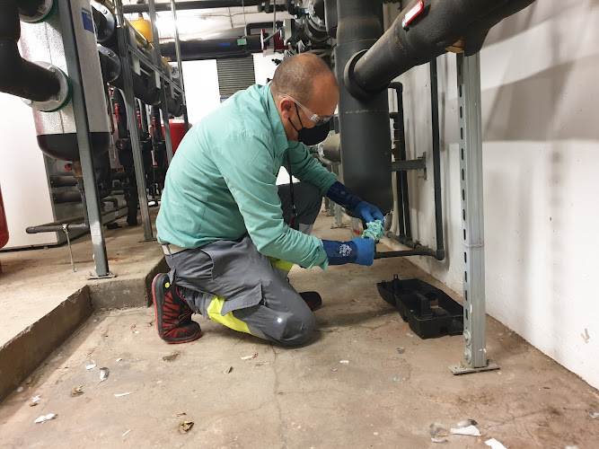 Negocio Lokimica Barcelona