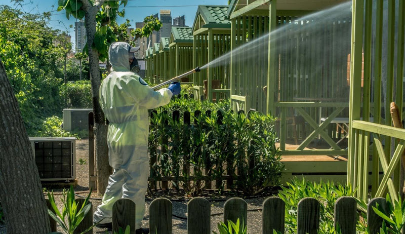 Negocio Lokímica Madrid