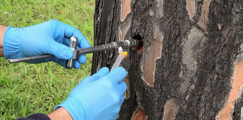 Negocio Málagaplagas | Control De Plagas En Málaga