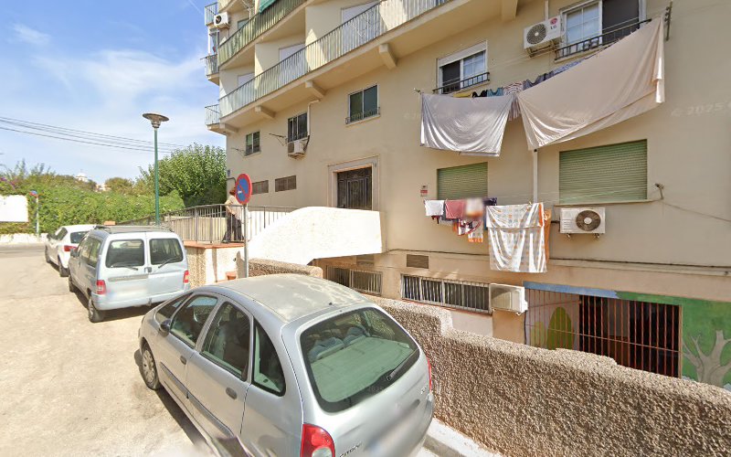 Negocio Mg Control De Plagas