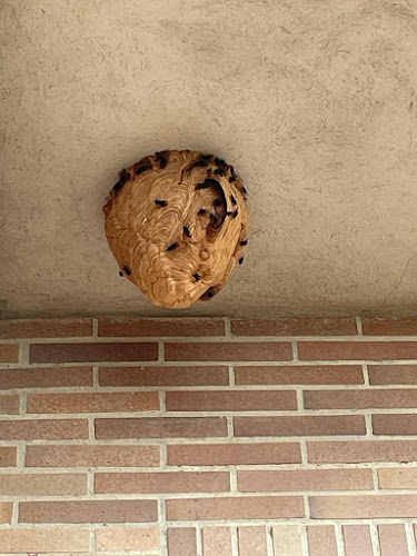 Negocio Multiplag | Tienda Insecticidas Y Productos Plagas