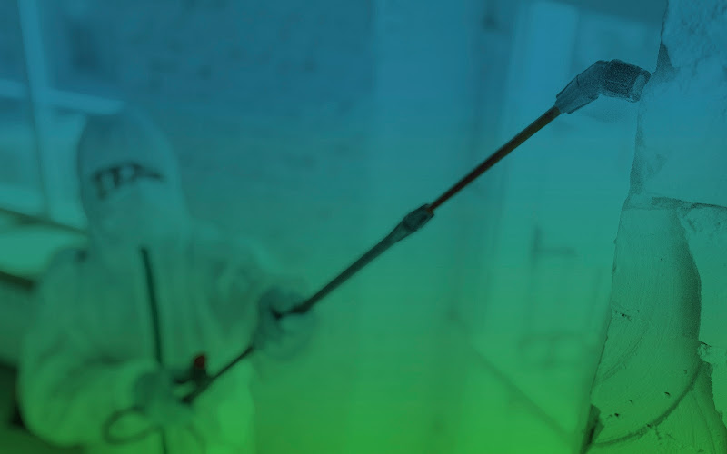 Naturcontrol. Control De Plagas Pamplona