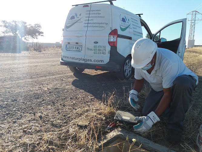 Negocio Naturtentudía Servicios Sl