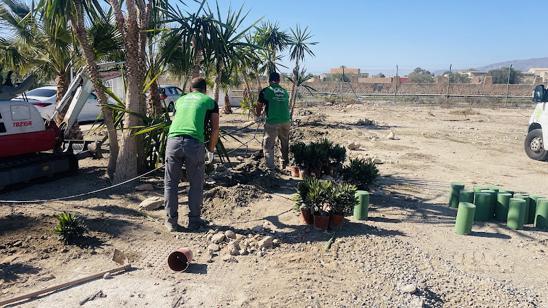 Negocio Ornamentales Paumar - Empresa De Jardinería Y Mantenimiento De Piscinas En Almeria