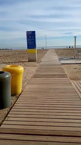 Negocio Plagas De La Madera