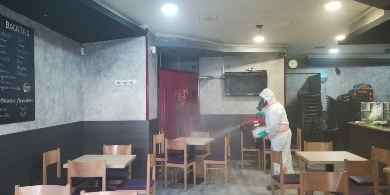 Negocio Plagastudio Control De Plagas En Alicante