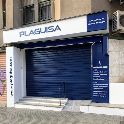 Negocio Plaguisa