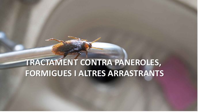 Negocio Plaguisystem - Control De Plagues