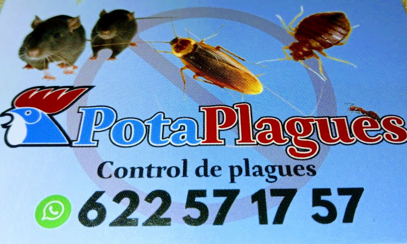 Negocio Potaplagues - Control De Plagas