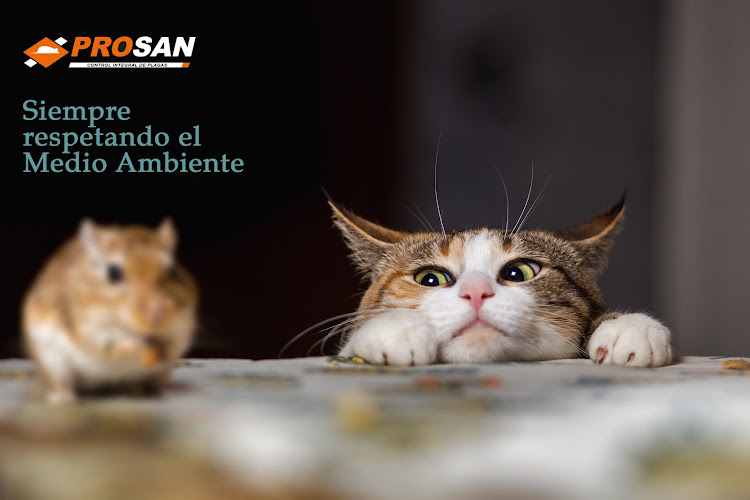 Negocio Prosan Sanidad Ambiental