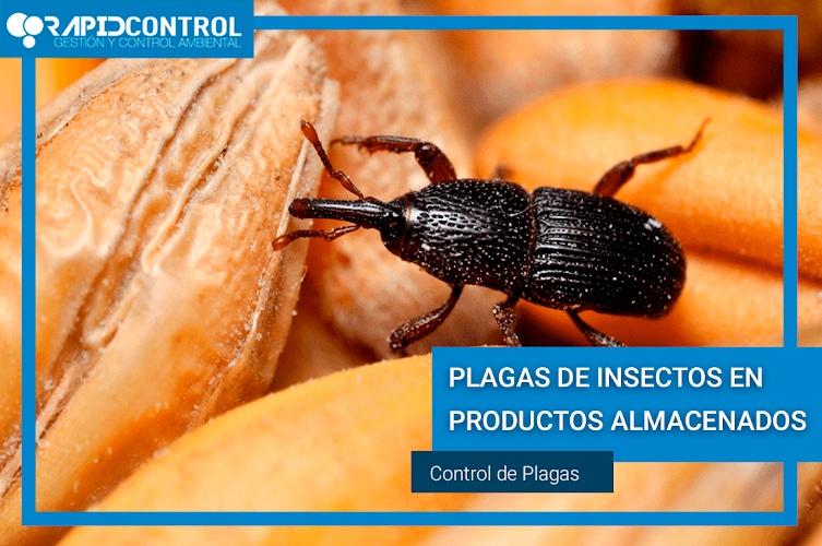 Negocio Rapid Control Desinfección S.l