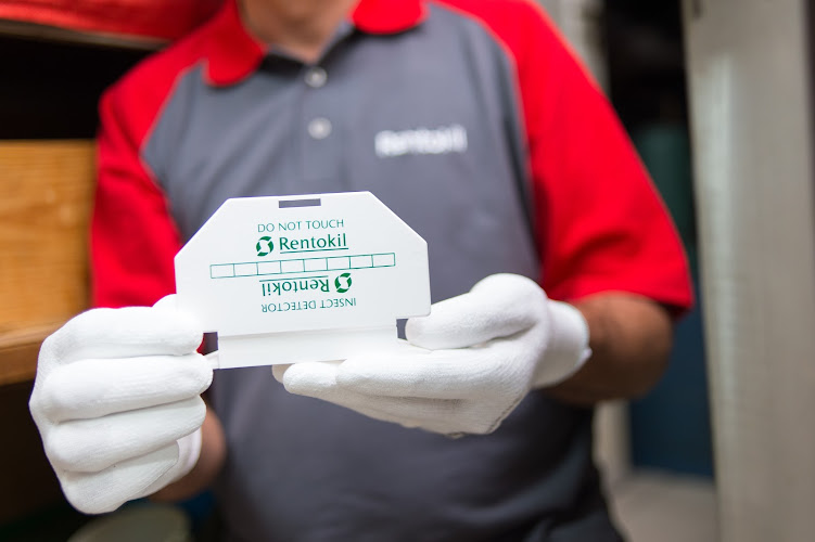 Negocio Rentokil Control De Plagas En Bizkaia