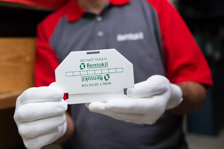 Negocio Rentokil Control De Plagas En Palma De Mallorca