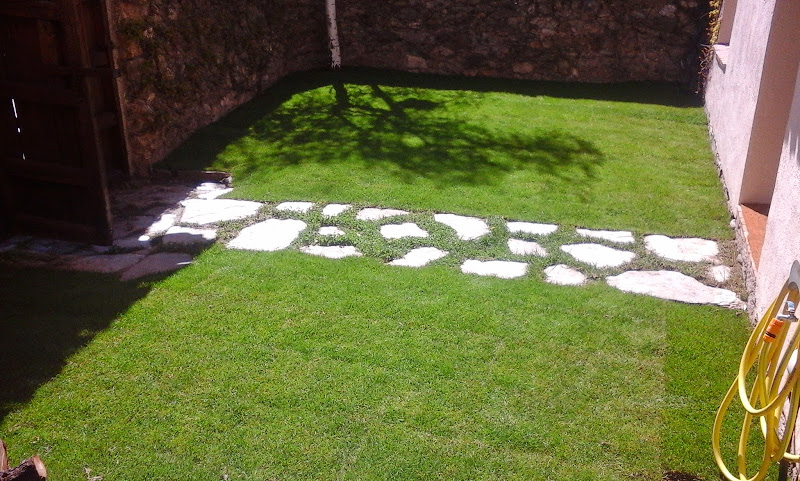 S&S Suministros Y Servicios Control De Plagas Y Jardinería