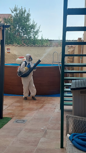 S&S Suministros Y Servicios Control De Plagas Y Jardinería