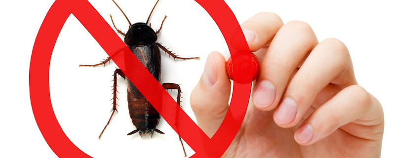 Negocio Sanex. Tratamientos Higienico Sanitarios S.l. Y Control De Plagas