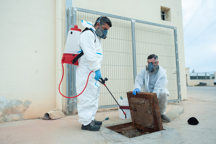Negocio Seranca Gran Canaria