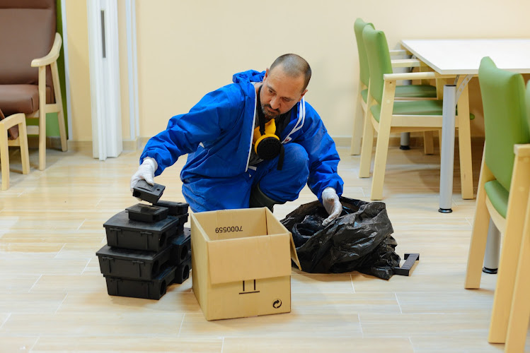 Negocio Servicio De Limpieza, Control De Plagas Y Mantenimiento El Saliente