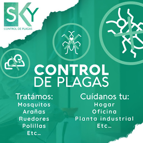 Negocio Sky Control De Plagas En Valencia