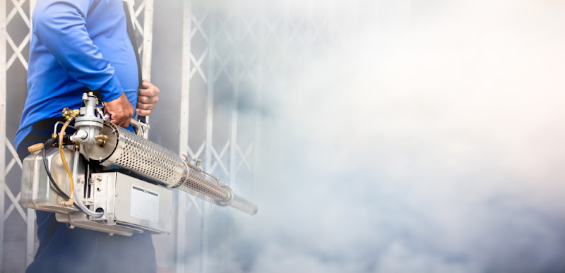 Negocio Stoplagas Sanidad Ambiental