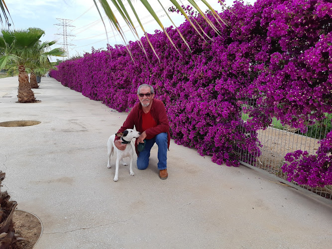 Negocio T Monzó Control & Gestión De Plagas