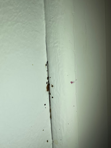 Negocio Tngs - Control De Plagas