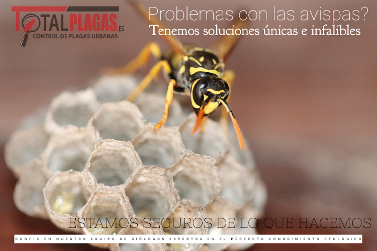 Negocio Totalplagas