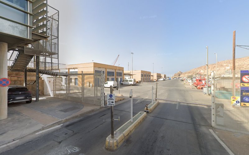 Negocio Trahinsur S L