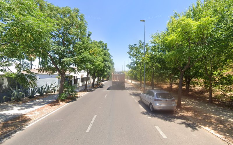 Negocio Traza Control Ibérica