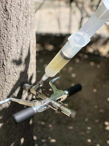 Negocio Vector3 Control De Plagas, S.l.