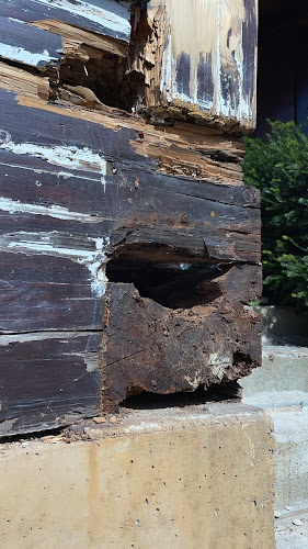 Negocio Wise Control