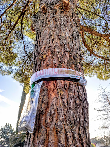 Negocio Xalima Salud Ambiental