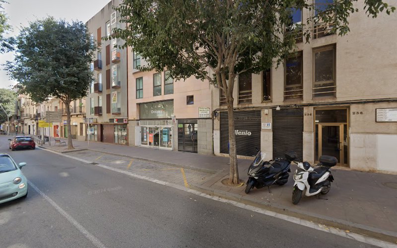 Negocio Xics Plagas S.l