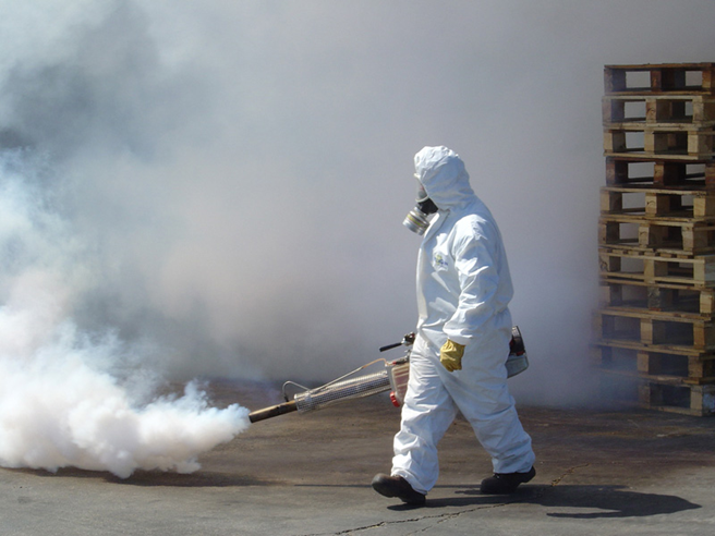 Negocio Xics Plagas Sl