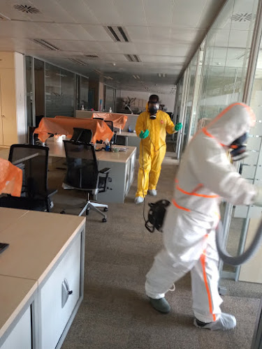 Negocio Xiloplagas S.l.