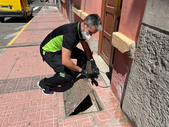 Negocio Ygm Servicios