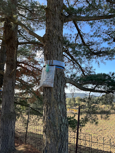 Negocio Zogna Control De Plagas